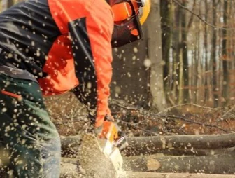 Employé faisant de l'abattage d'arbre